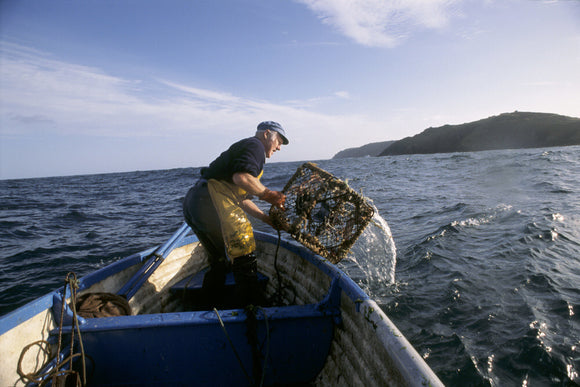 A crab and lobster fisherman lifts one of his lobster pots out of the water while fishing of the coast of Cape Cornwall