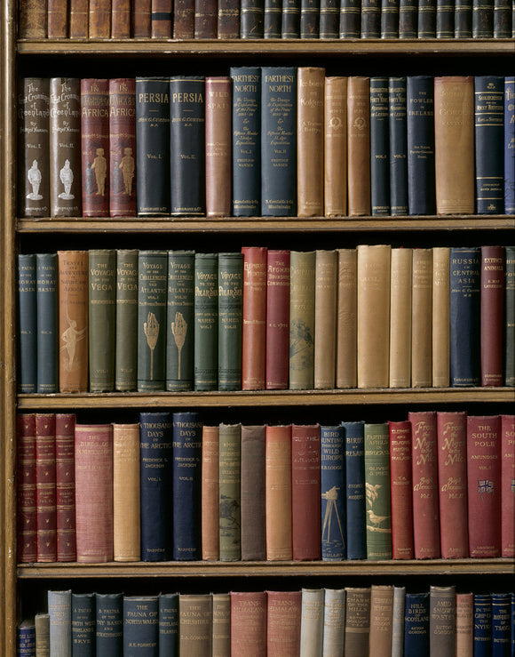 Close view of part of the Library shelves showing some of the collection of books on travel and exploration at Calke Abbey