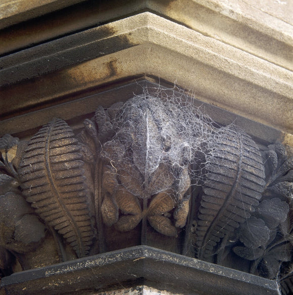 Detail of stone carving on the East Front of Tyntesfield