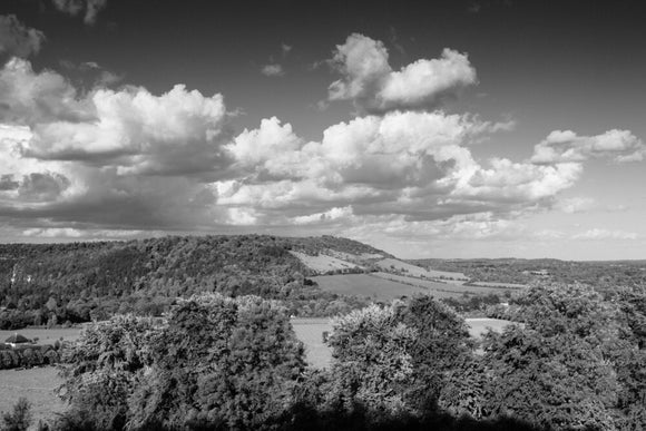 A black & white view of Box Hill, Surrey, with rolling downland and woodland in May