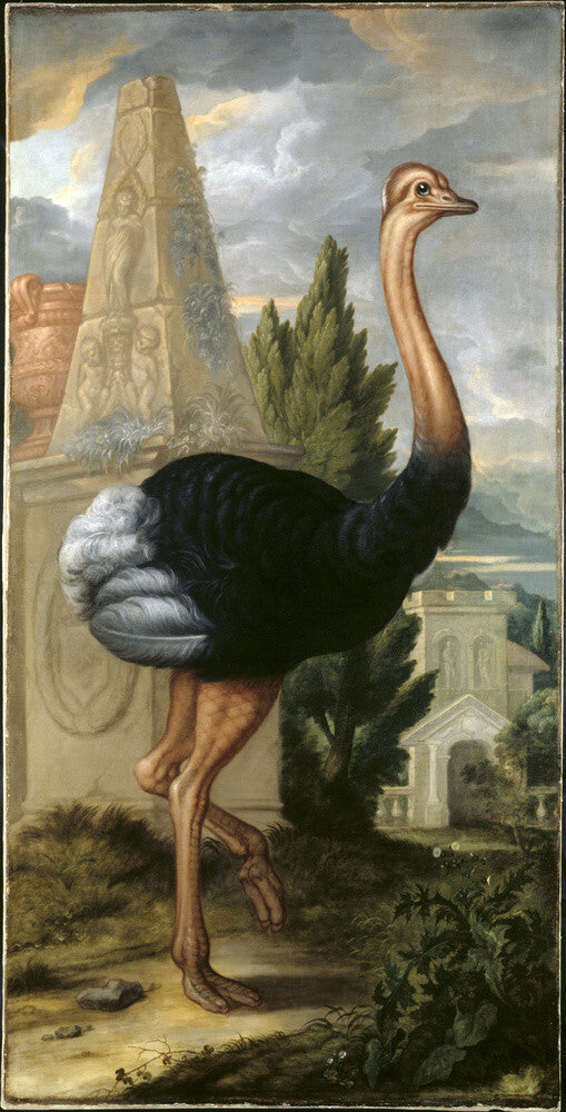 AN OSTRICH, by Francis Barlow at Clandon Park, Surrey