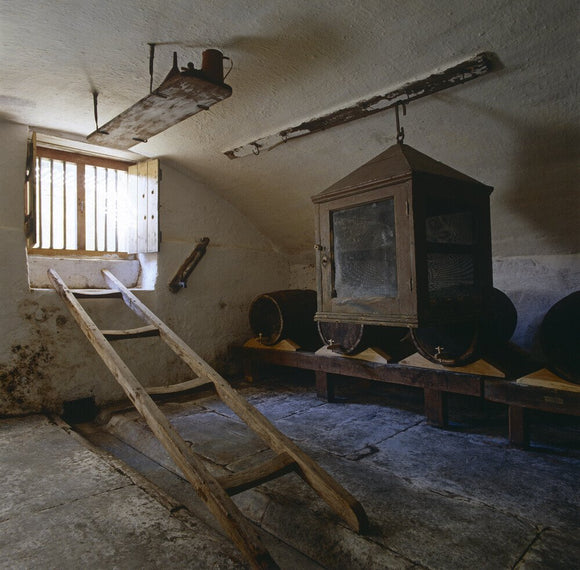Room view of the Cellar at Llanerchaeron