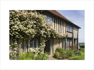 Roses climbing over the early sixteenth-century half-timbered house, Smallhythe Place at Tenterden, Kent