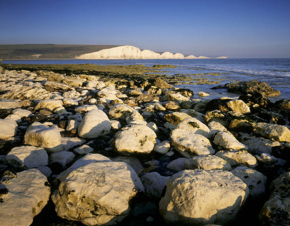 A distant early morning view of Seven Sisters from Seaford Head with large white limestone rocks on the shoreline in the foreground, and the white chalk cliffs beyond