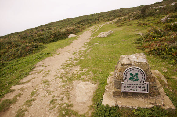 A pathway leading past The National Trust omega at St David's Head, Pembrokeshire
