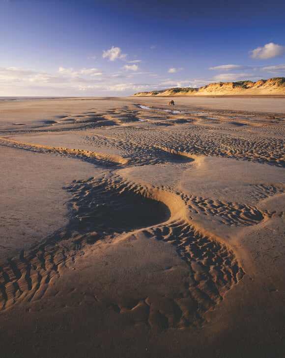 5000 year old human footprints in the holocene sediment on the beach at Formby Point
