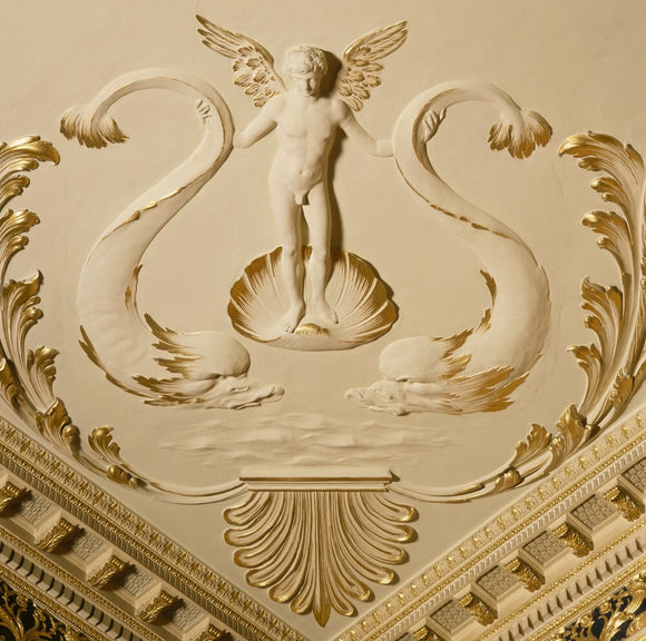 A close up of the intricate and skilled plasterwork to be found on the ceiling of the Saloon at Hatchlands