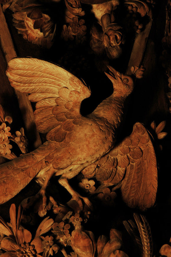 Close view of late C17th wood carving by Grinling Gibbons in the Carved Room at Petworth House depicting a bird