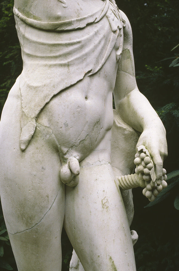 Detail of statue of Bacchus, Italian C18th marble in the style of Ptaxitiles in the garden at Anglesey Abbey