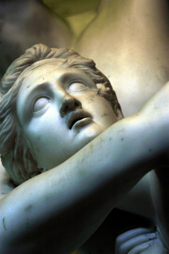 Detail of the head of Amelia from the sculpture Celadon and Amelia by J.C.F. Rossi (1762-1839) in the North Gallery at Petworth House.