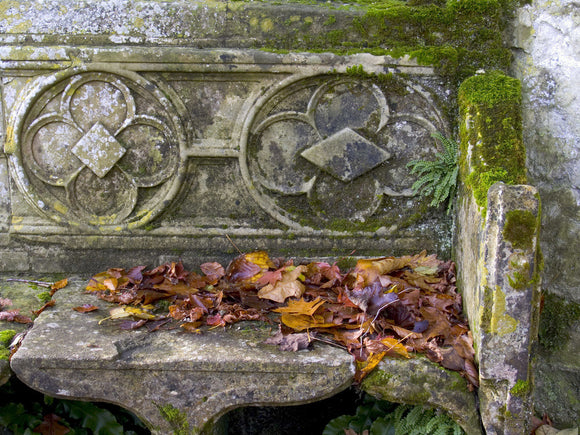 Close view of a stone bench outisde the Gothic Cottage at Stourhead, Wiltshire, in the autumn