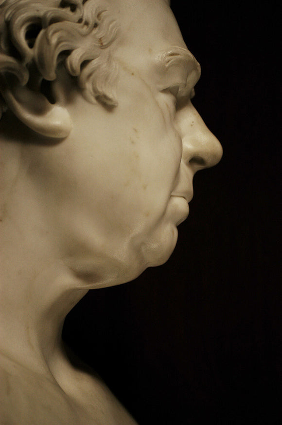The bust of Sir Joseph Banks, 1837, by Sir Francis Chantrey (1781-1841) in the North Gallery at Petworth House