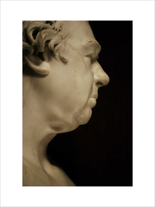 The bust of Sir Joseph Banks, 1837, by Sir Francis Chantrey (1781-1841) in the North Gallery at Petworth House