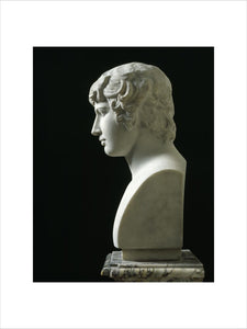 Bust of Antinous (Profile) with black background, from Petworth House