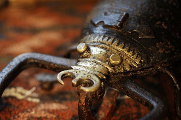 Close view of an iron and brass lockable box in the form of a scorpion, used to store herbal remedies