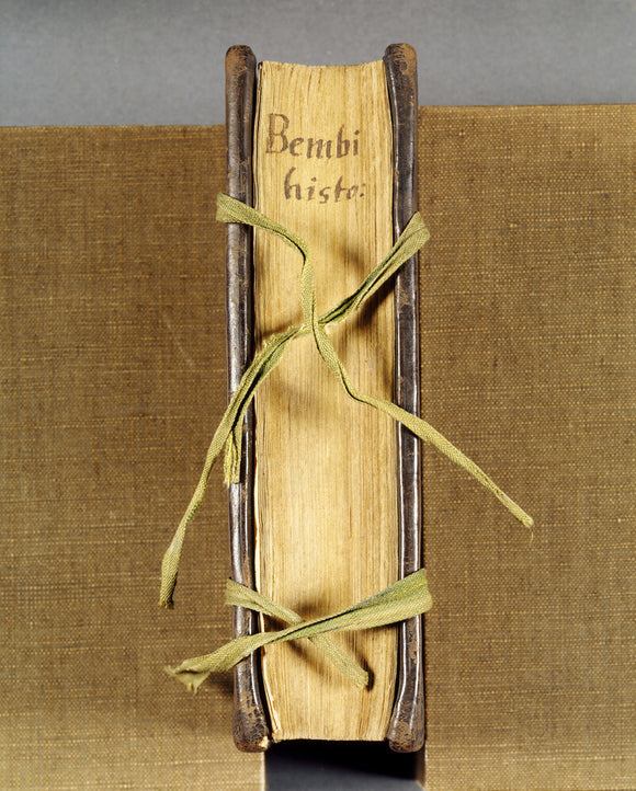 Close view of a book with a sixteenth century binding, woven ties and the title 