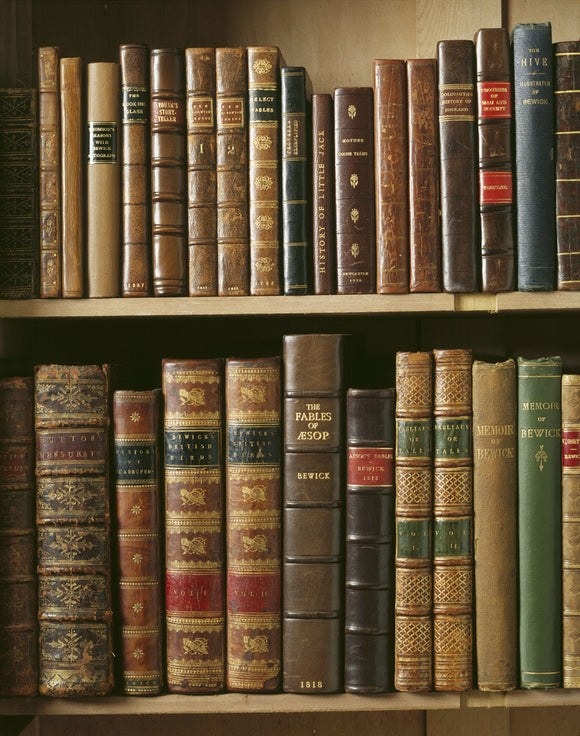 Close view of Thomas Bewick's leather bound books on shelves at Cherryburn, including two volumes of Bewick's Birds, tooled and gilded and The Fables of Aesop