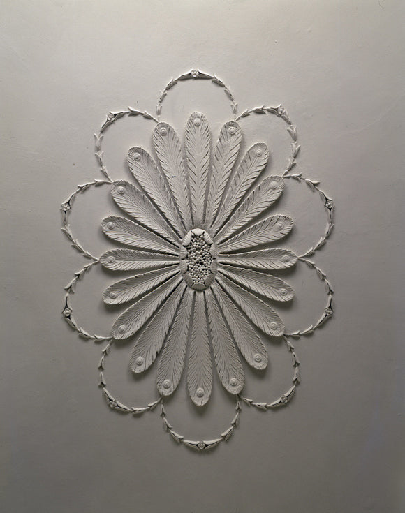 Detail of plasterwork ceiling in the Boudoir at Llanerchaeron, modelled in the form of radiating peacock feathers, surrounded by garlands of wheat husks