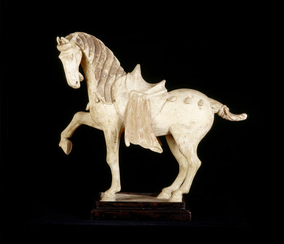 Close view of Chinese ceramic horse of the T'ang Dynasty, A.D.618-906