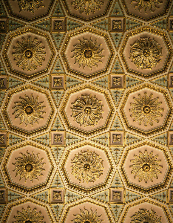 Detail of the ceiling in the Drawing Room at Osterley Park with octagon compartments