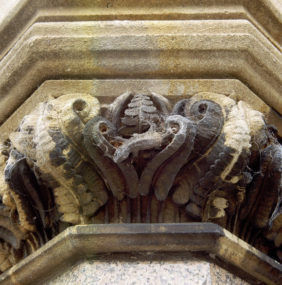 Detail of stone carving of fern leaves on the East Front of Tyntesfield
