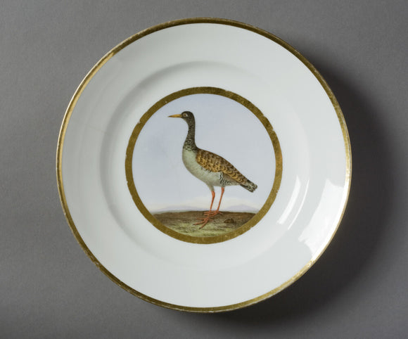 Plate decorated with a specimen bird by Guerhard, Paris, at Hinton Ampner, Hampshire