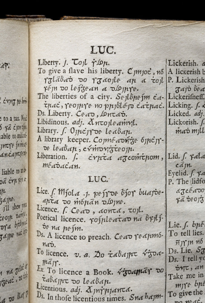 Page from the English Irish Dictionary, (Paris, 1732) part of the Spri ...