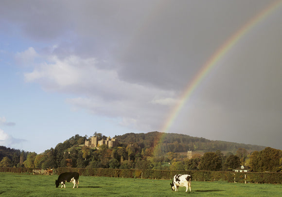 A view of a brilliant and beautiful rainbow at Dunster Castle, Somerset