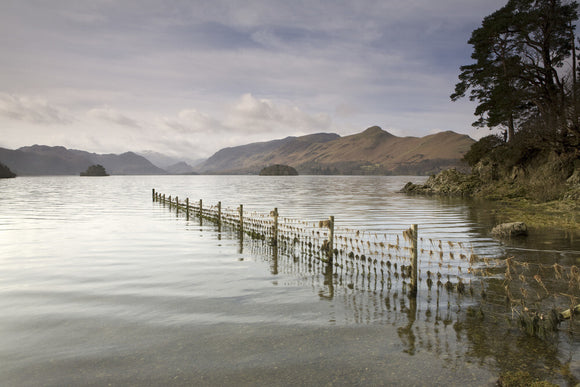 Looking across Derwentwater from Friar's Crag, Lake District, Cumbria