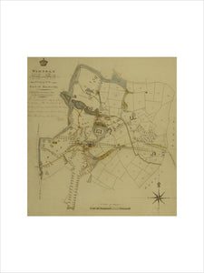 Survey map of the park at Wimpole showing proposed alterations to planting and new drive
