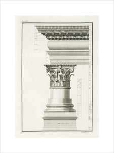 Illustration of a column and capital from The Ruins of Palmyra by Robert Wood (London 1753) in the library collection at Calke Abbey, Derbyshire (London 1753)