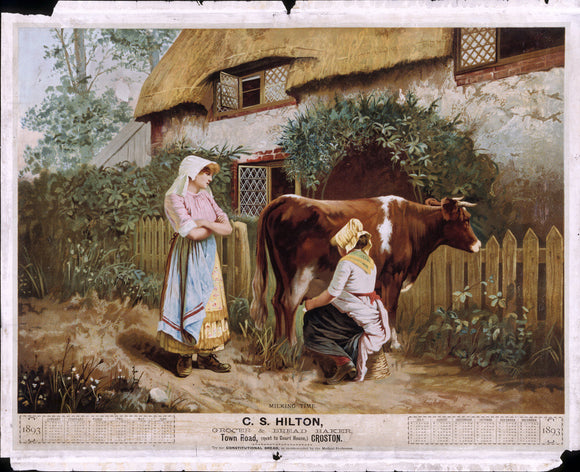 MILKING TIME, 1893 Calendar for C S Hilton, Grocer & Bread Baker