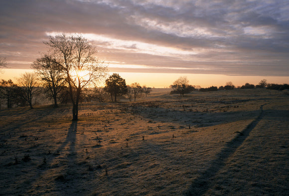 A sunrise view of Minchinhampton Common looking towards Burleigh from near Bownham