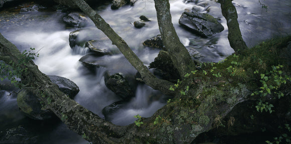 The Afon Cwm Llan, a typical mountain river in Wales on the Hafod Y Llan estate