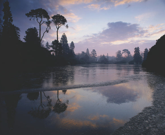 A view taken at Sheffield Park Garden at early dawn, with the sky casting a purple/pink hue over the lake and trees