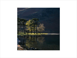 A quiet stretch of the Buttermere shoreline