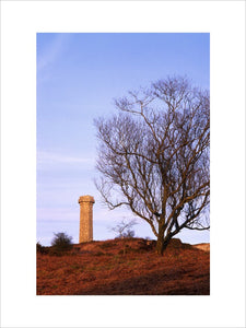 The monument erected in 1846 to Vice-Admiral Sir Thomas Masterman Hardy, Flag Captain of HMS Victory at Trafalgar, on Black Down, Portesham, Dorset, UK (grid reference SY613875)