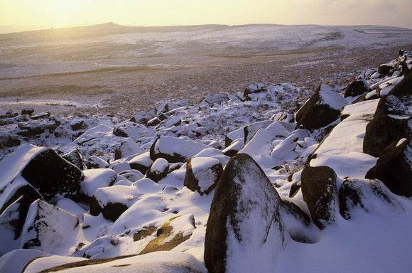 Hathersage Moor in snow at Longshaw Estate