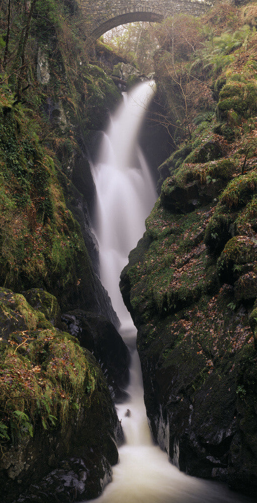Aira Force waterfall emerging through a bridge, and falling in a torrent of white foam between moss covered rocks