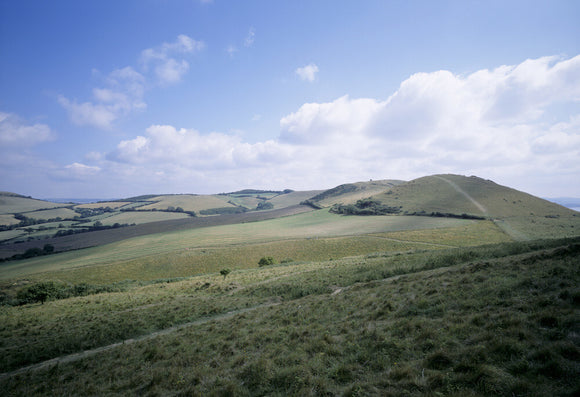 View looking east from Ridege Cliff (Golden Cap Estate), towards Frogmore Hill and Thorncombe Beacon