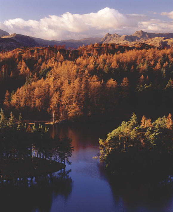 (FL) An autumnal view of Tarn Hows near Coniston Water in the Lake District with the Langdale Pikes in the background