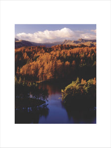 (FL) An autumnal view of Tarn Hows near Coniston Water in the Lake District with the Langdale Pikes in the background
