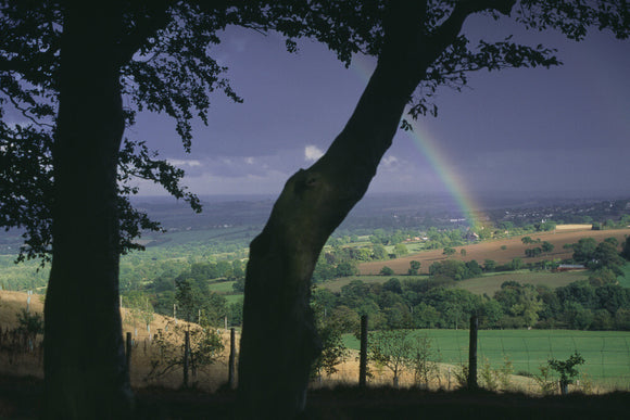 A rainbow springs from the sunlit fields against a dark sky, with the silhouette of two tree trunks in the foreground
