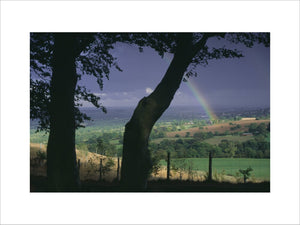 A rainbow springs from the sunlit fields against a dark sky, with the silhouette of two tree trunks in the foreground