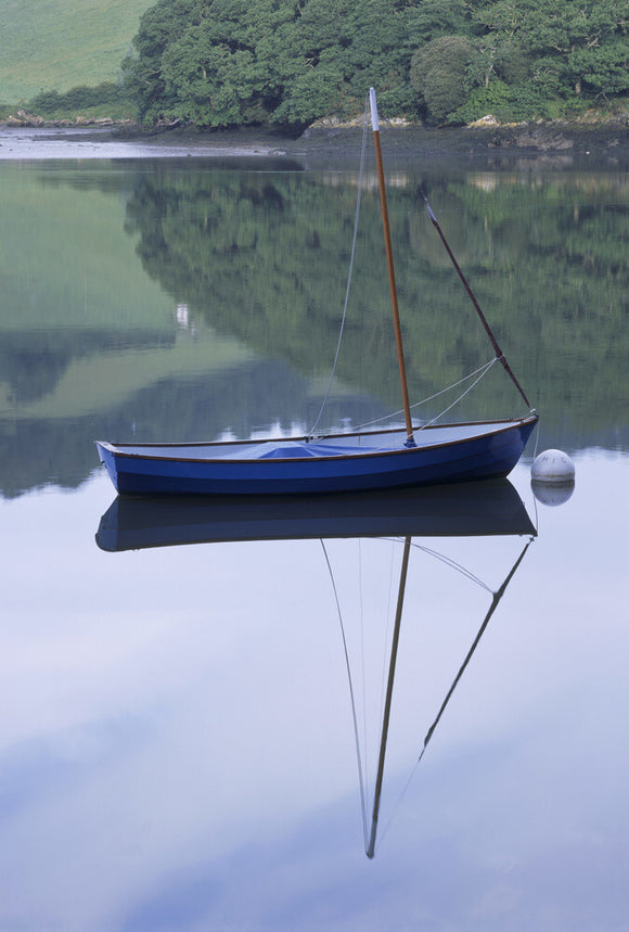 Close-up view of a boat by the Boathouse on the River Dart with reflections of the boat and trees in the still water