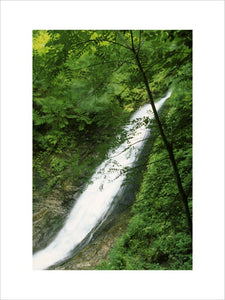 A view of a waterfall, or fast moving river, at Lydford Gorge