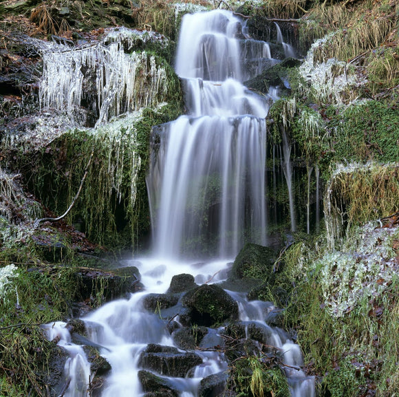 A stream running into Hebden Water with ice formations at the side at Hardcastle Crags