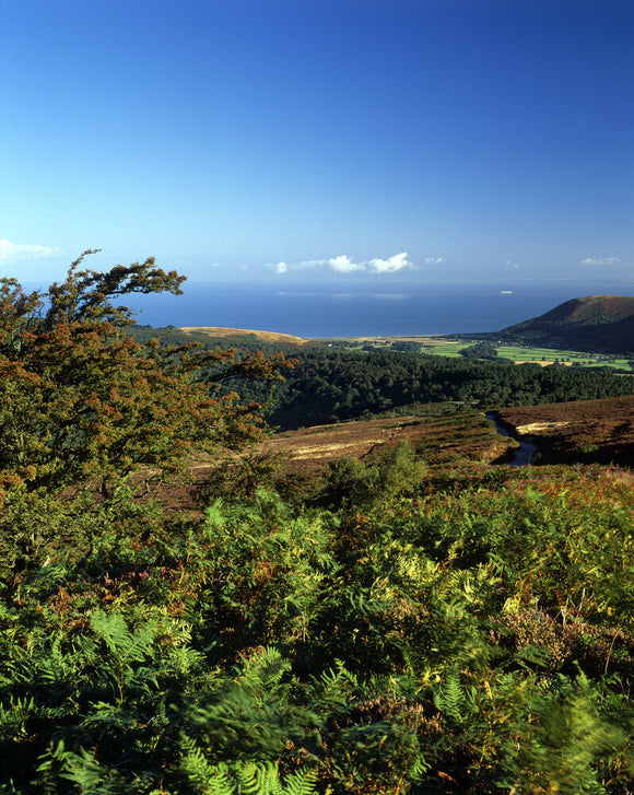 A view from Dunkery, Exmoor looking towards Porlock Bay