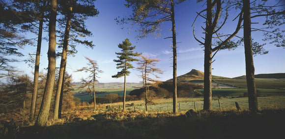 A panoramic view of Roseberry Topping