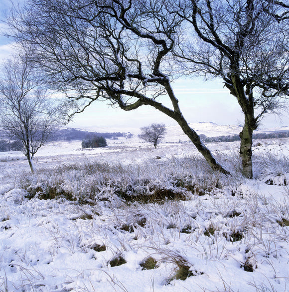 A panoramic view over the Longshaw Estate, under a blanket of snow